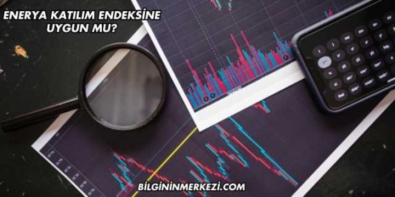 Enerya Katılım Endeksine Uygun mu?