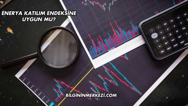 Enerya Katılım Endeksine Uygun mu?