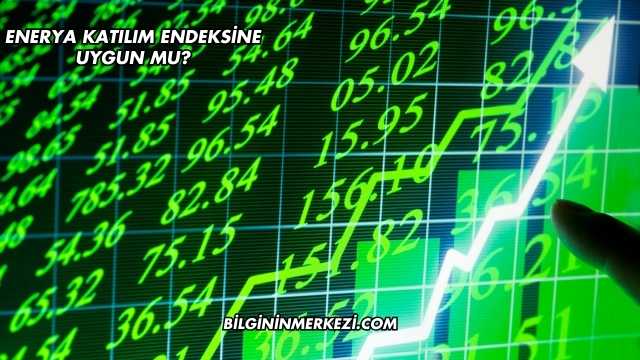 Enerya Katılım Endeksine Uygun mu?
