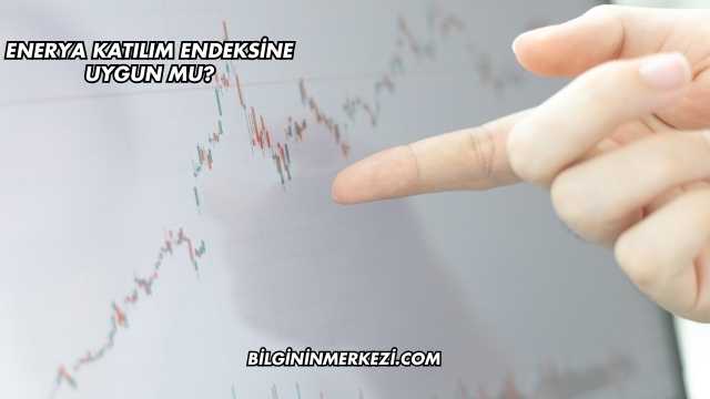 Enerya Katılım Endeksine Uygun mu?