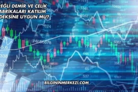 Ereğli Demir ve Çelik Fabrikaları Katılım Endeksine Uygun mu?