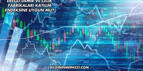 Ereğli Demir ve Çelik Fabrikaları Katılım Endeksine Uygun mu?