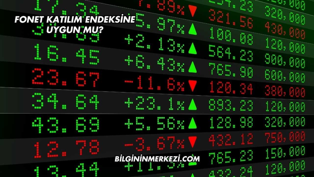 Fonet Katılım Endeksine Uygun mu?
