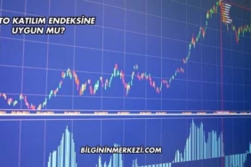 Froto Katılım Endeksine Uygun mu?