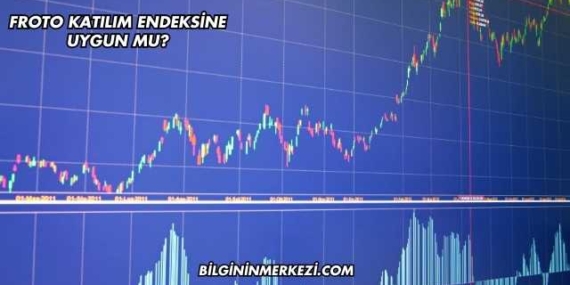 Froto Katılım Endeksine Uygun mu?