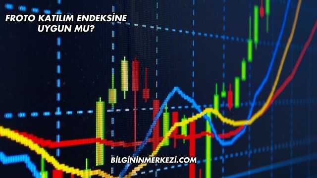 Froto Katılım Endeksine Uygun mu?