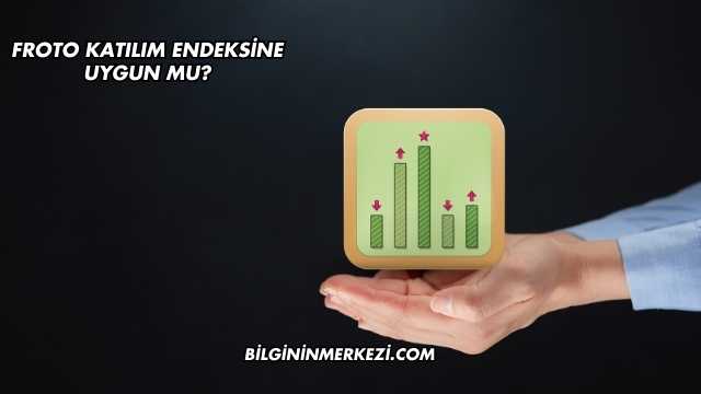 Froto Katılım Endeksine Uygun mu?