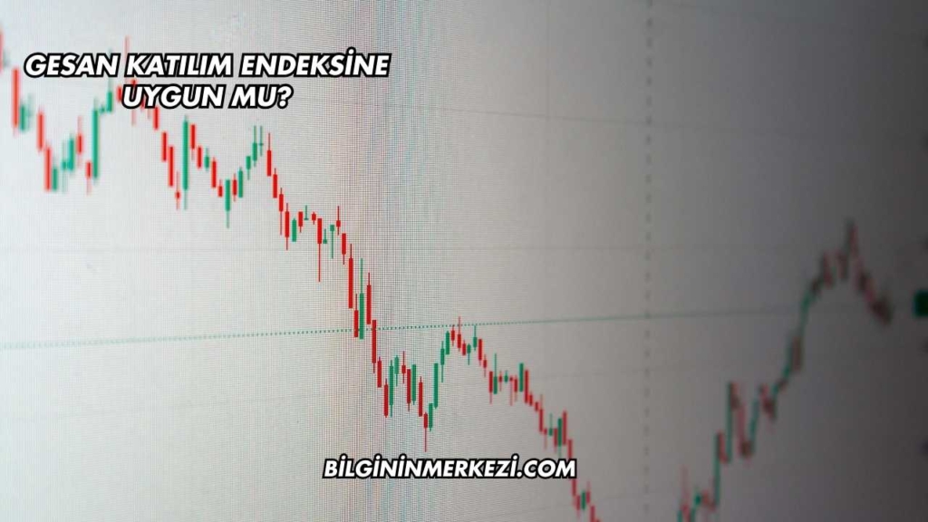 GESAN Katılım Endeksine Uygun mu?