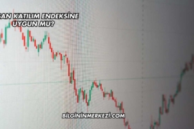 GESAN Katılım Endeksine Uygun mu?