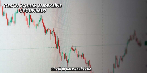 GESAN Katılım Endeksine Uygun mu?
