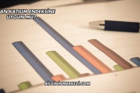 Hatsan Katılım Endeksine Uygun mu?