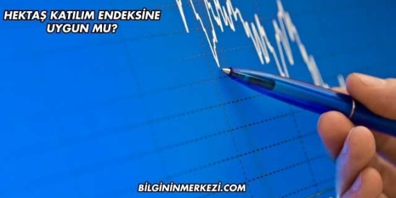 Hektaş Katılım Endeksine Uygun mu?