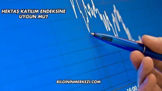 Hektaş Katılım Endeksine Uygun mu?