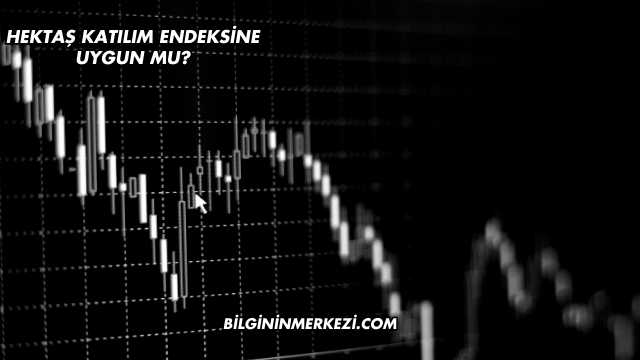 Hektaş Katılım Endeksine Uygun mu?