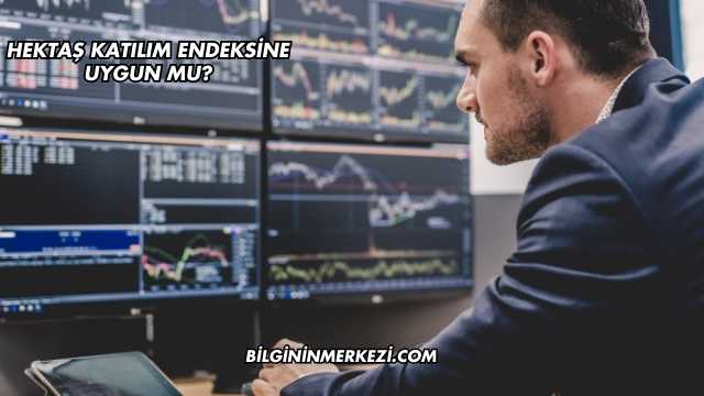 Hektaş Katılım Endeksine Uygun mu?