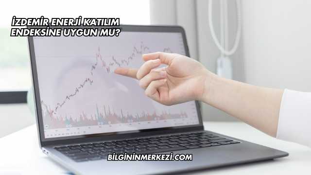 İZDEMİR Enerji Katılım Endeksine Uygun mu?