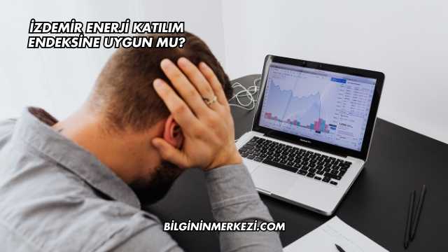 İZDEMİR Enerji Katılım Endeksine Uygun mu?