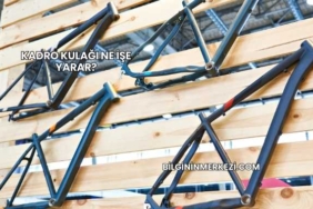 Kadro Kulağı Ne İşe Yarar?