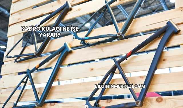 Kadro Kulağı Ne İşe Yarar?
