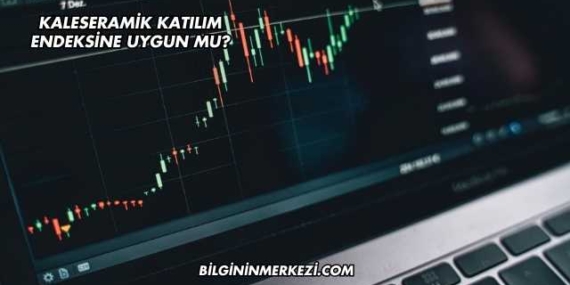 Kaleseramik Katılım Endeksine Uygun mu?