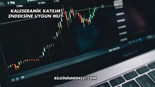 Kaleseramik Katılım Endeksine Uygun mu?