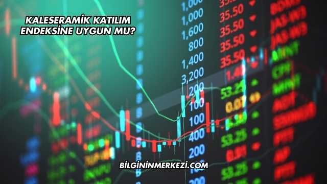 Kaleseramik Katılım Endeksine Uygun mu?