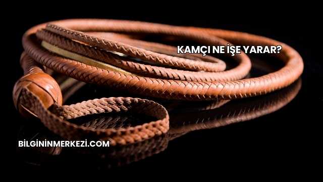 Kamçı Ne İşe Yarar?