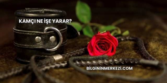 Kamçı Ne İşe Yarar?
