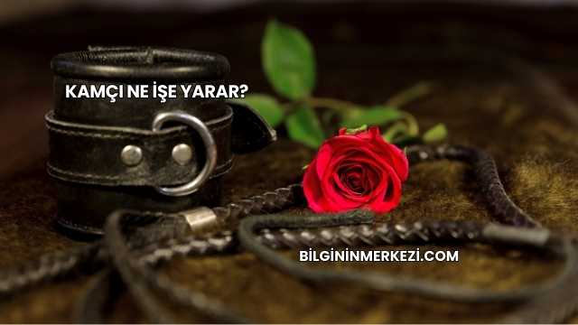 Kamçı Ne İşe Yarar?