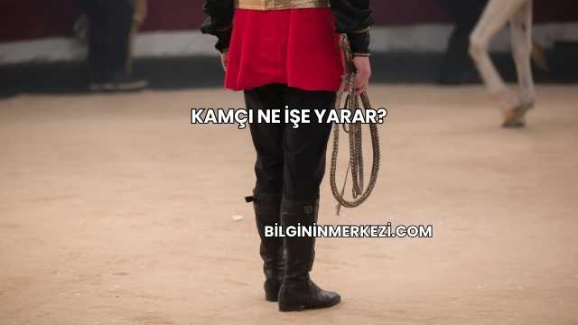 Kamçı Ne İşe Yarar?