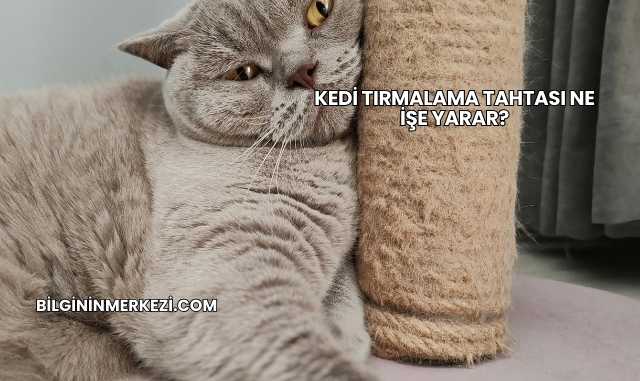 Kedi Tırmalama Tahtası Ne İşe Yarar?