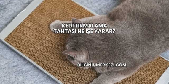 Kedi Tırmalama Tahtası Ne İşe Yarar?