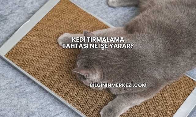 Kedi Tırmalama Tahtası Ne İşe Yarar?