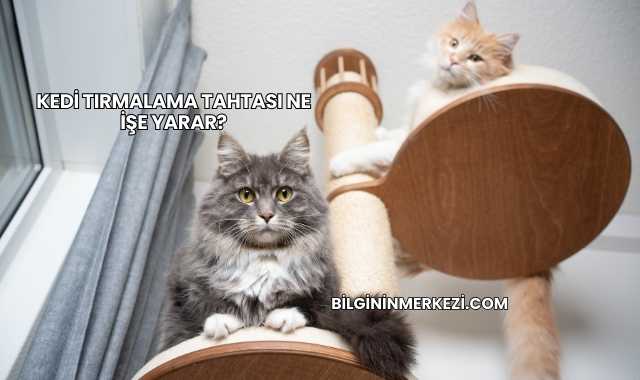 Kedi Tırmalama Tahtası Ne İşe Yarar?