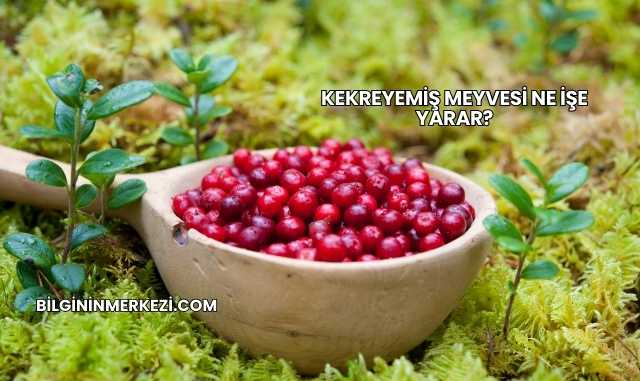 Kekreyemiş Meyvesi Ne İşe Yarar?