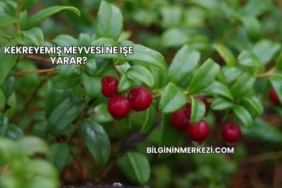 Kekreyemiş Meyvesi Ne İşe Yarar?
