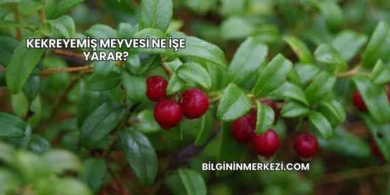 Kekreyemiş Meyvesi Ne İşe Yarar?