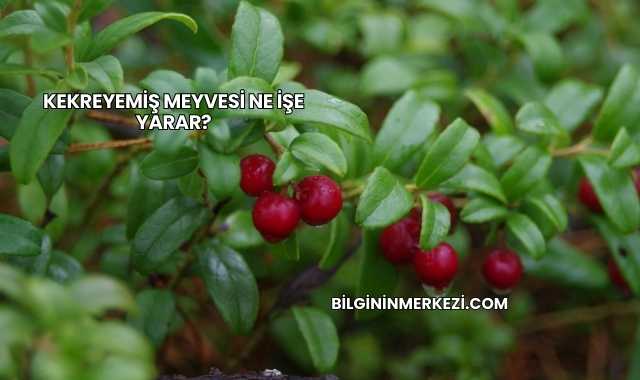 Kekreyemiş Meyvesi Ne İşe Yarar?