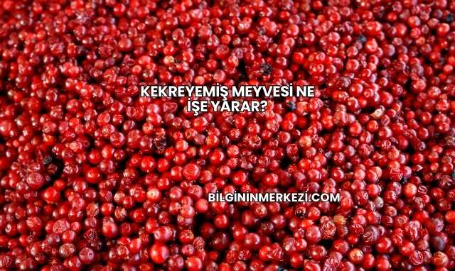 Kekreyemiş Meyvesi Ne İşe Yarar?