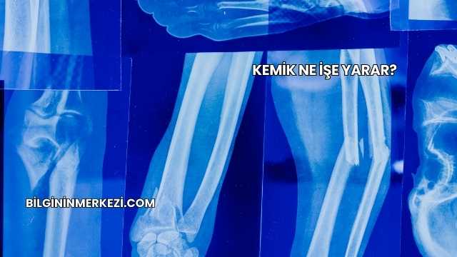 Kemik Ne İşe Yarar?