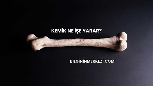 Kemik Ne İşe Yarar?