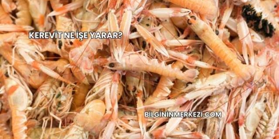 Kerevit Ne İşe Yarar?