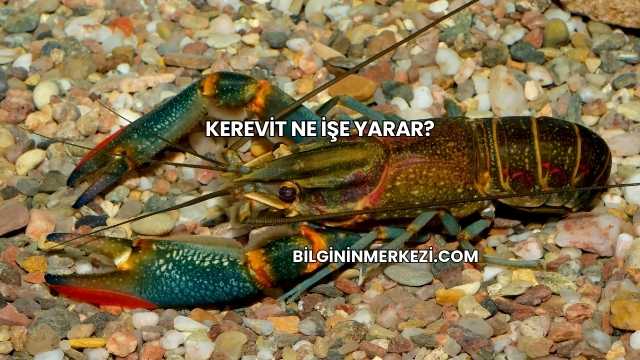 Kerevit Ne İşe Yarar?