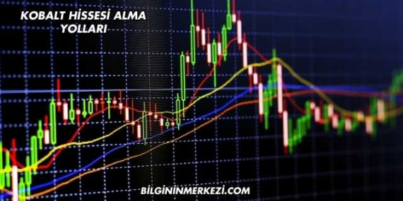 Kobalt Hissesi Alma Yolları