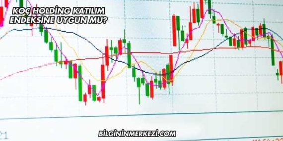 Koç Holding Katılım Endeksine Uygun mu?
