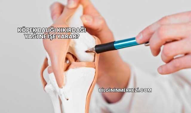 Köpek Balığı Kıkırdağı Yağı Ne İşe Yarar?