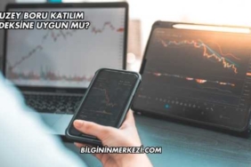 Kuzey Boru Katılım Endeksine Uygun mu?