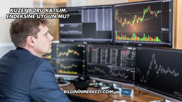 Kuzey Boru Katılım Endeksine Uygun mu?