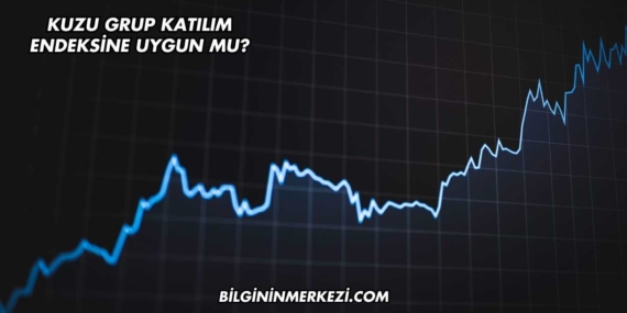 Kuzu Grup Katılım Endeksine Uygun mu?