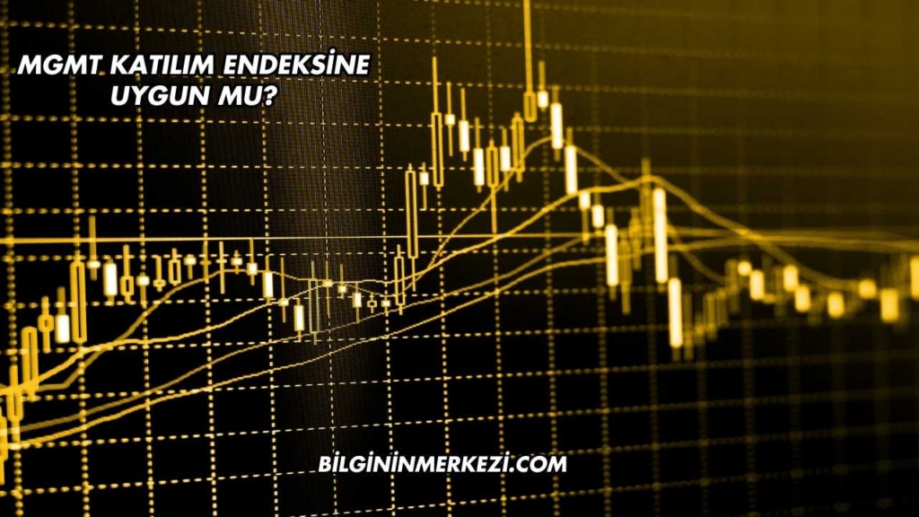 MGMT Katılım Endeksine Uygun mu?